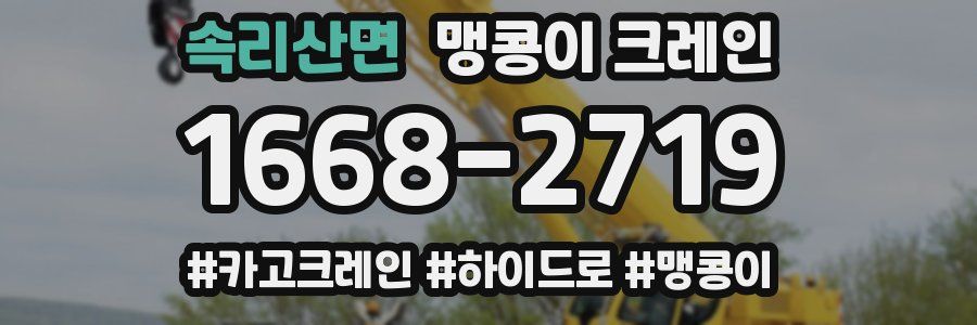 속리산면 맹콩이 크레인