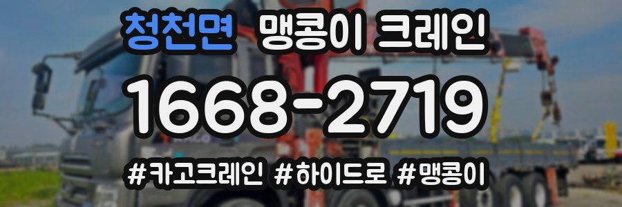 청천면 맹콩이 크레인