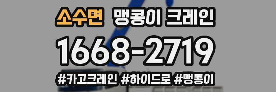 소수면 맹콩이 크레인