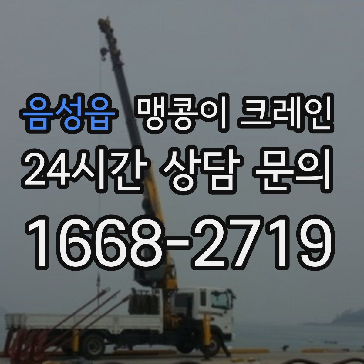 음성읍 맹콩이 크레인