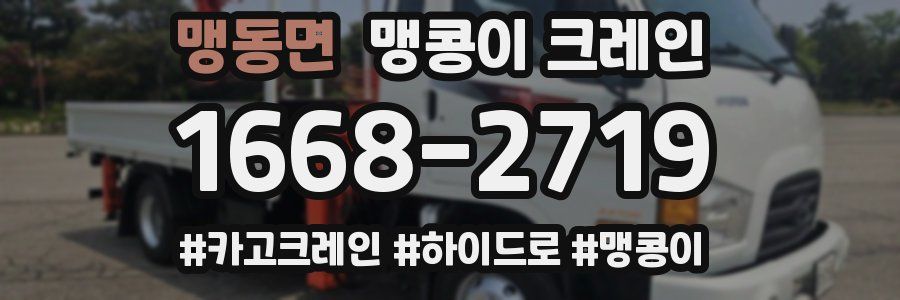맹동면 맹콩이 크레인