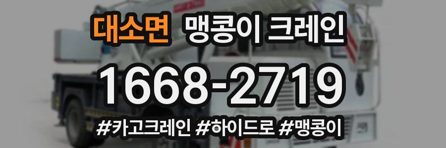 대소면 맹콩이 크레인