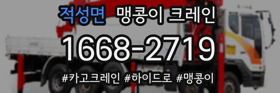 적성면 맹콩이 크레인