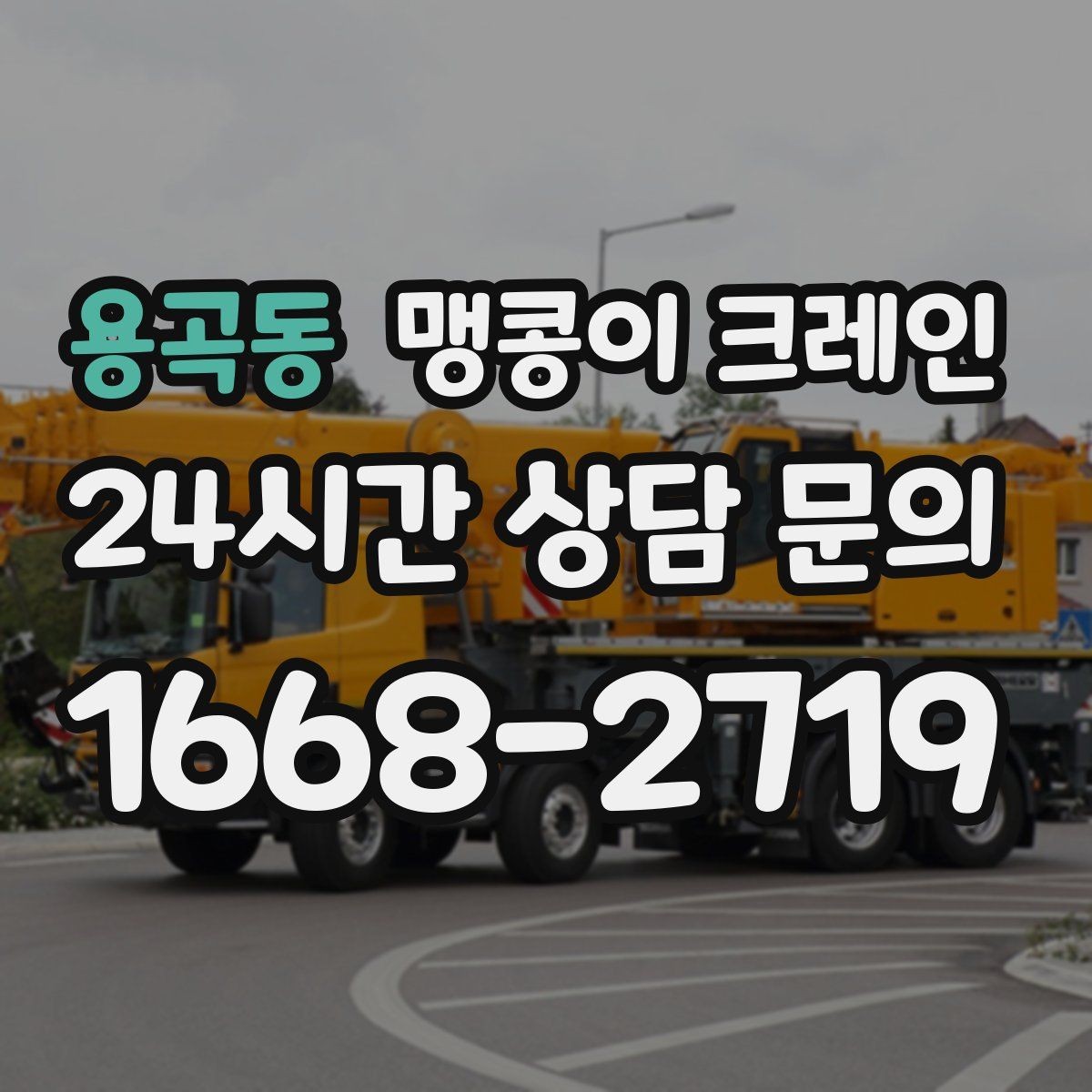용곡동 맹콩이 크레인 컨테이너 내부 장비 반입에 적합한 이유