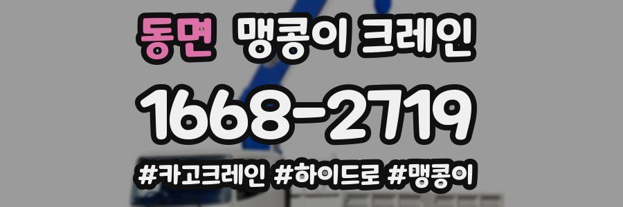동면 맹콩이 크레인