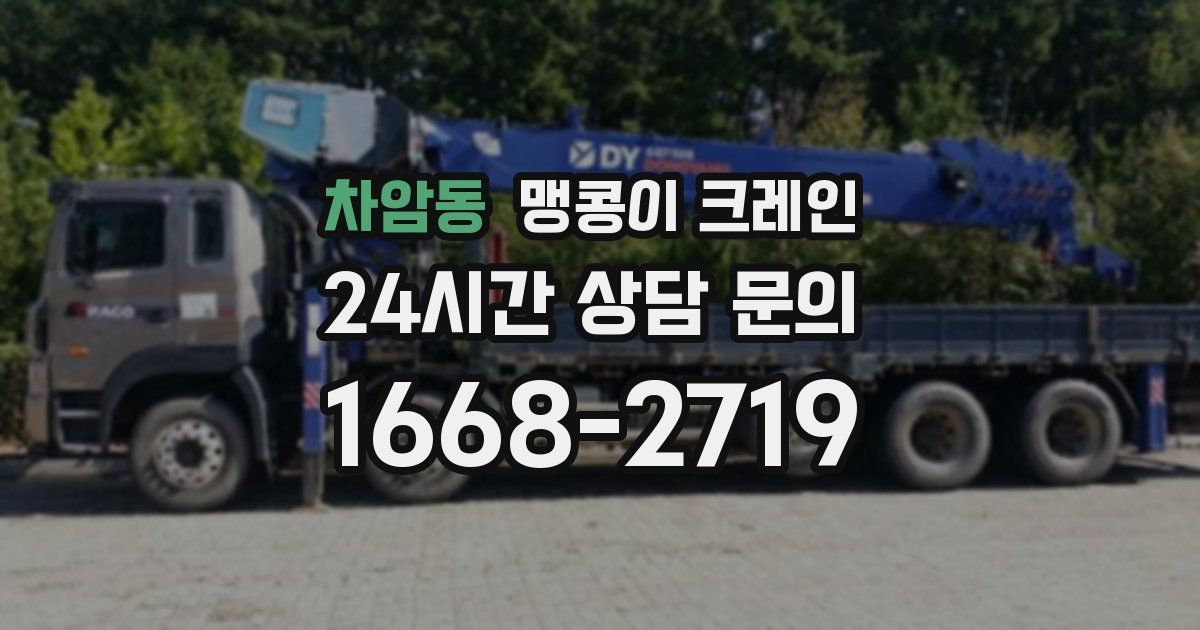 차암동 맹콩이 크레인