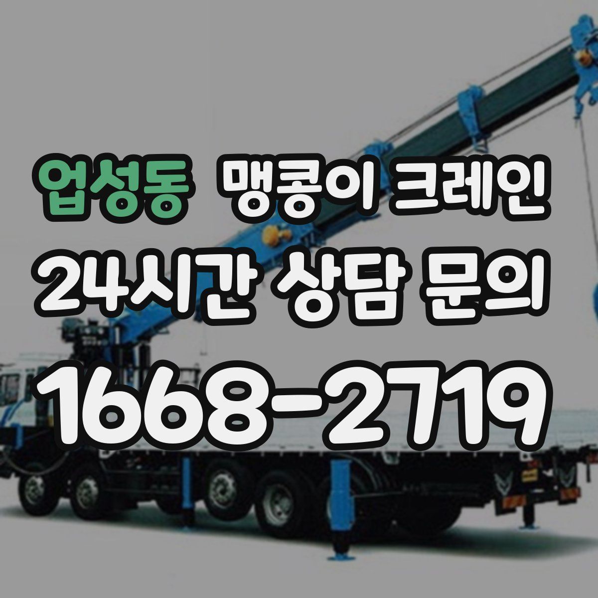 업성동 맹콩이 크레인
