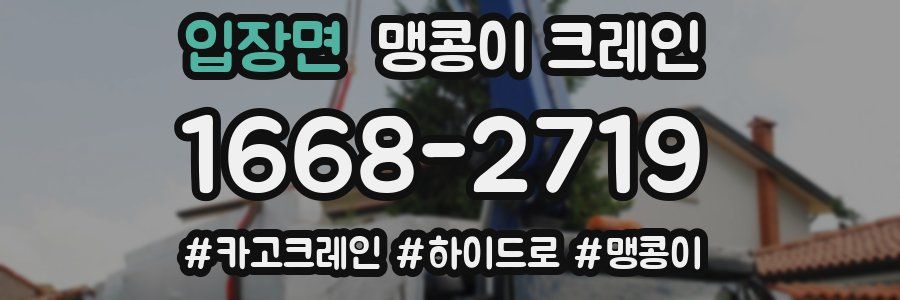 입장면 맹콩이 크레인