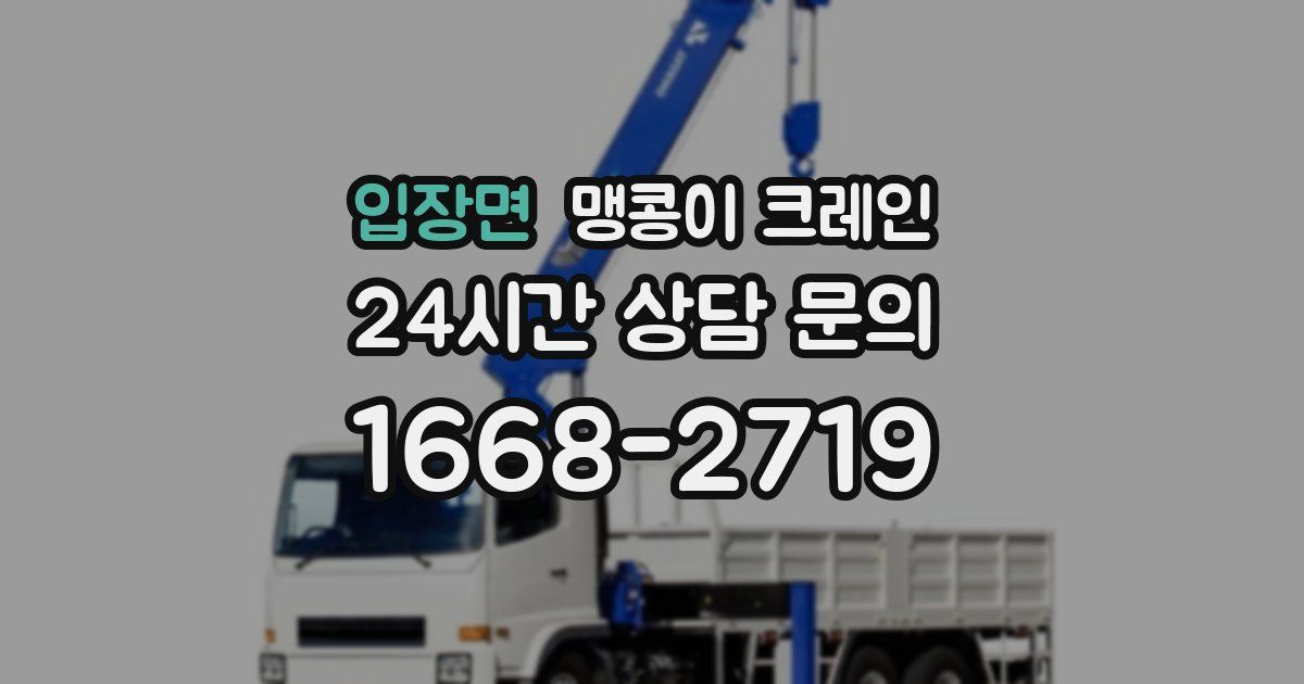 입장면 맹콩이 크레인