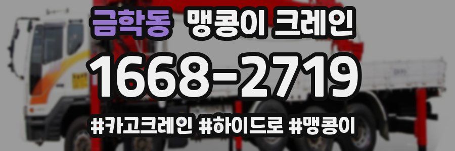 금학동 맹콩이 크레인
