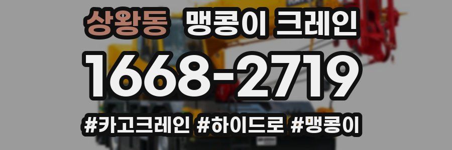 상왕동 맹콩이 크레인