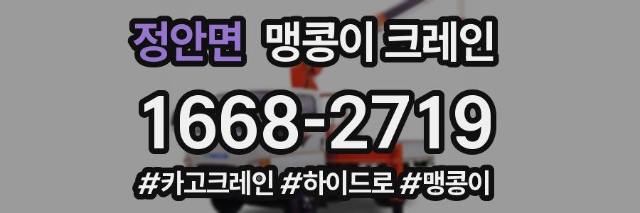 정안면 맹콩이 크레인