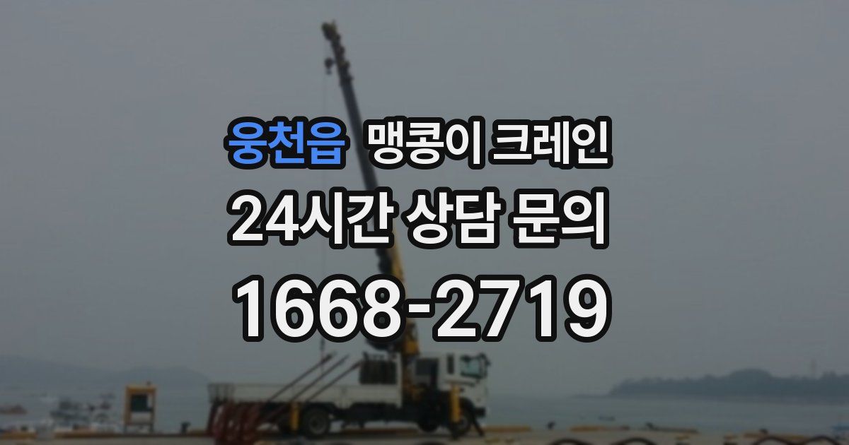 웅천읍 맹콩이 크레인