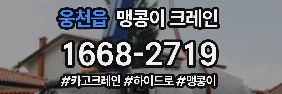 웅천읍 맹콩이 크레인