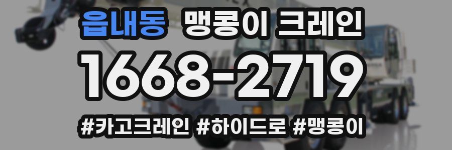 읍내동 맹콩이 크레인