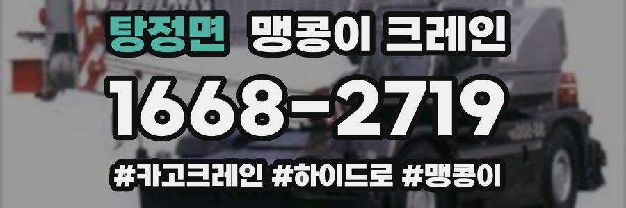 탕정면 맹콩이 크레인