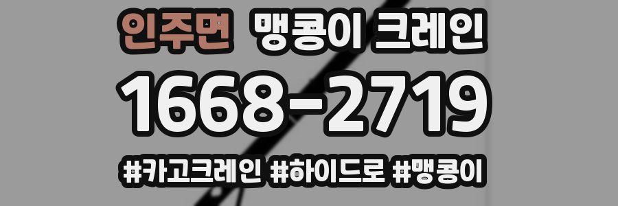인주면 맹콩이 크레인