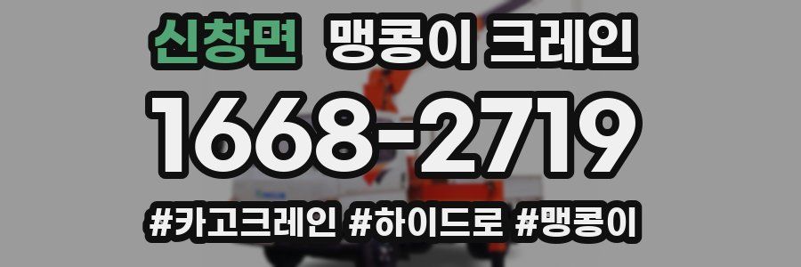 신창면 맹콩이 크레인