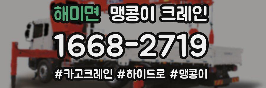 해미면 맹콩이 크레인