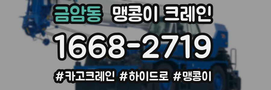 금암동 맹콩이 크레인