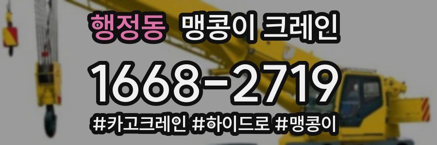 행정동 맹콩이 크레인