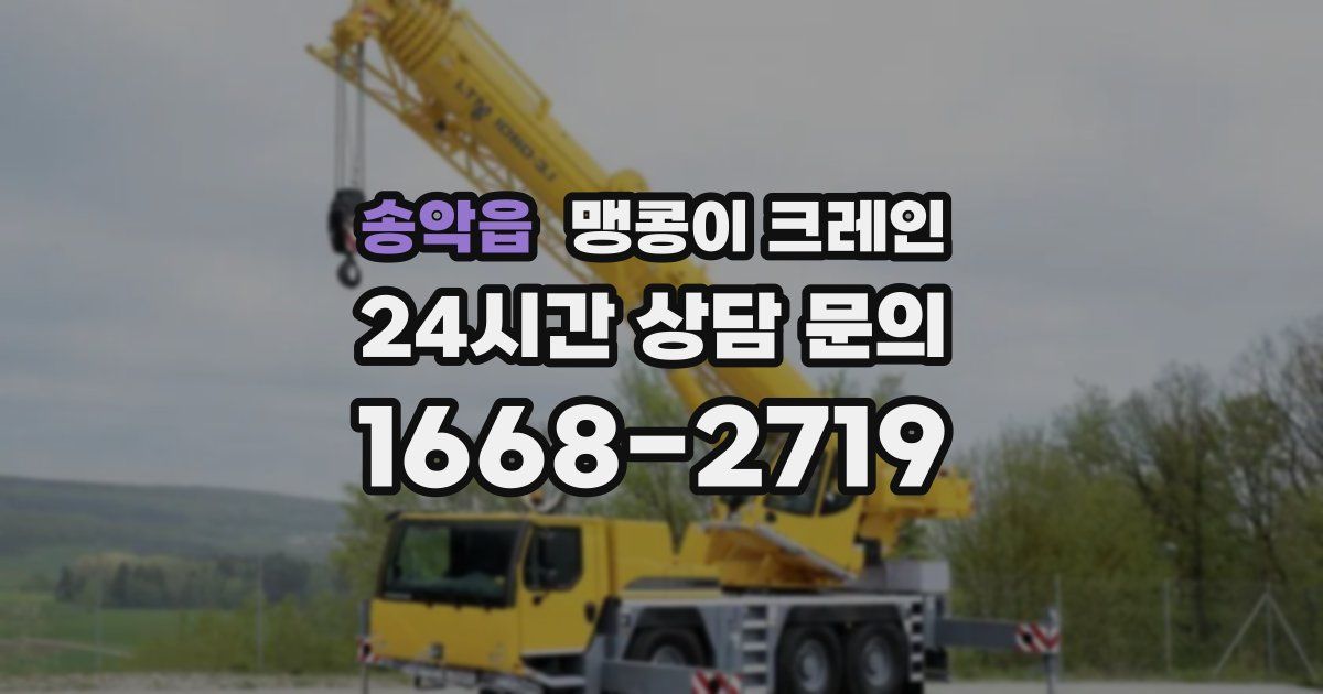 송악읍 맹콩이 크레인