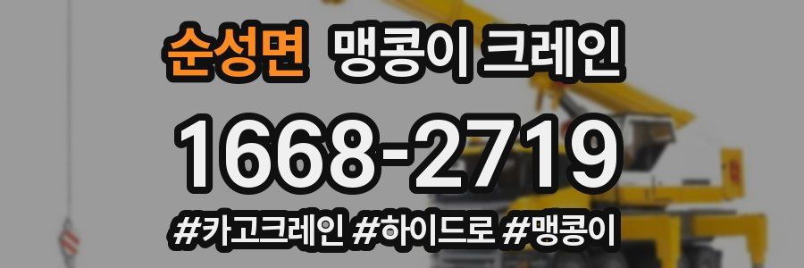 순성면 맹콩이 크레인