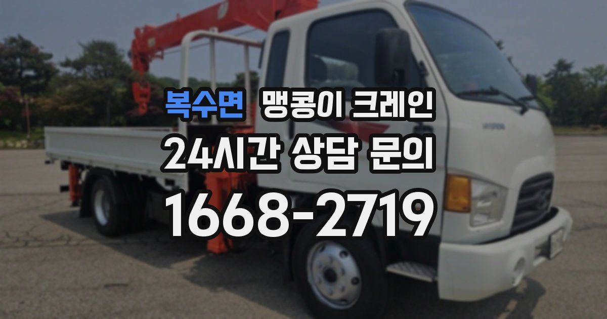 복수면 맹콩이 크레인