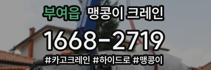 부여읍 맹콩이 크레인