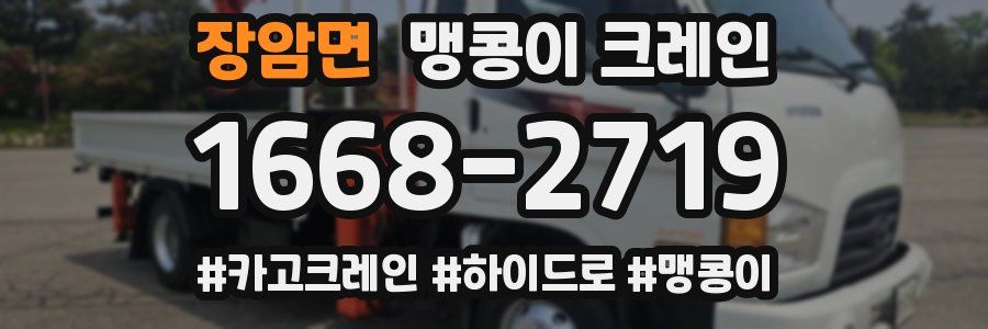 장암면 맹콩이 크레인