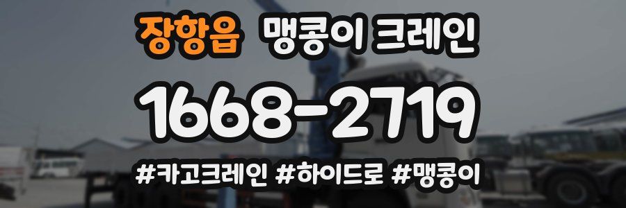 장항읍 맹콩이 크레인