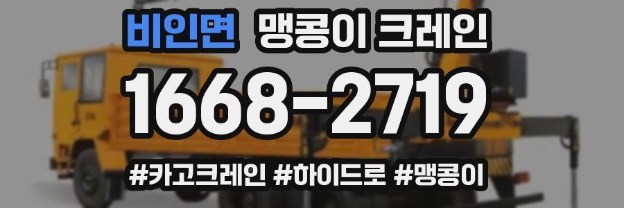 비인면 맹콩이 크레인