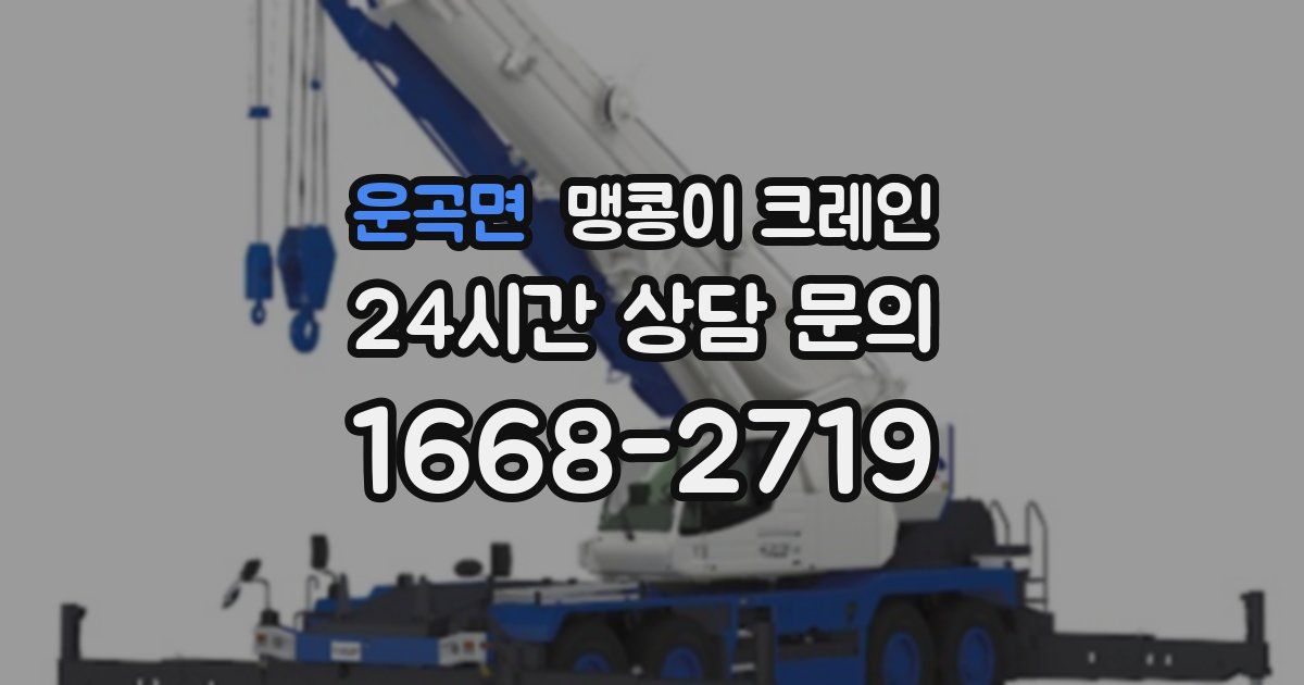 운곡면 맹콩이 크레인