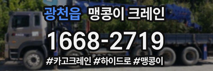 광천읍 맹콩이 크레인