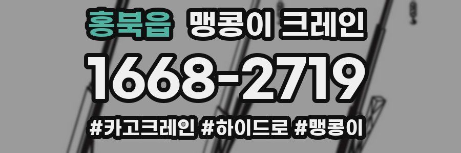 홍북읍 맹콩이 크레인