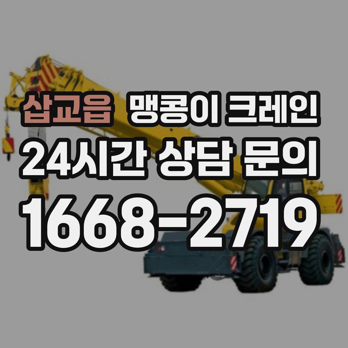 삽교읍 맹콩이 크레인
