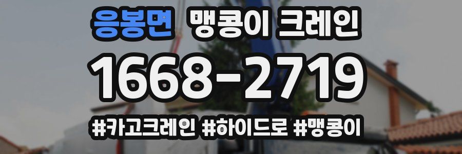 응봉면 맹콩이 크레인