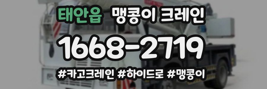 태안읍 맹콩이 크레인