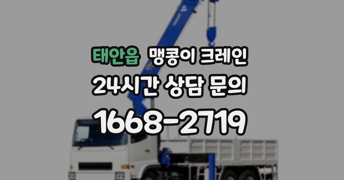 태안읍 맹콩이 크레인