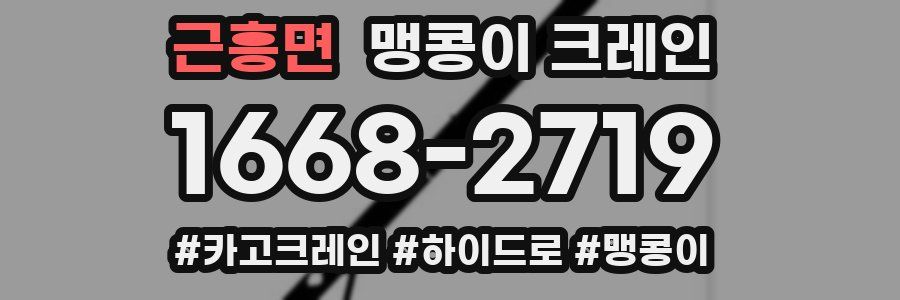 근흥면 맹콩이 크레인
