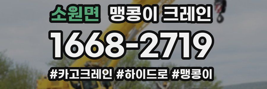 소원면 맹콩이 크레인