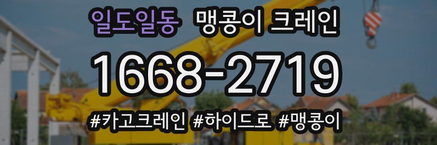 일도일동 맹콩이 크레인