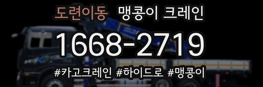 도련이동 맹콩이 크레인