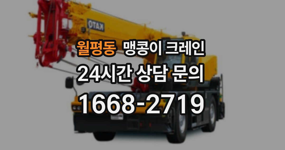 월평동 맹콩이 크레인