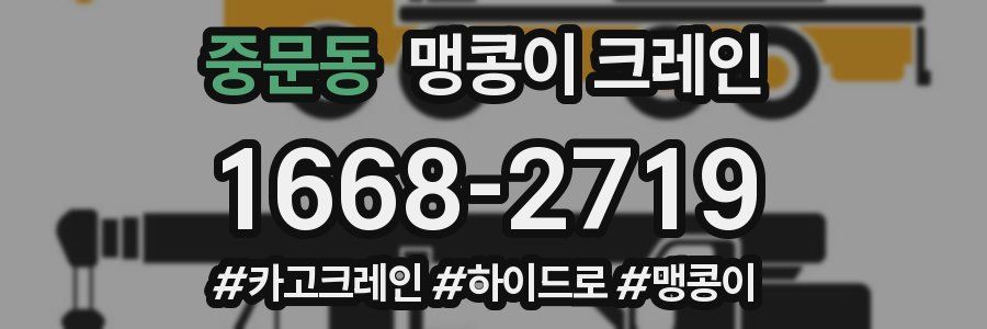 중문동 맹콩이 크레인