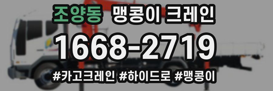 조양동 맹콩이 크레인