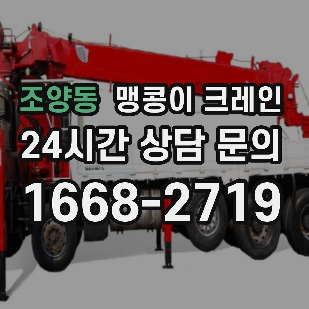 조양동 맹콩이 크레인