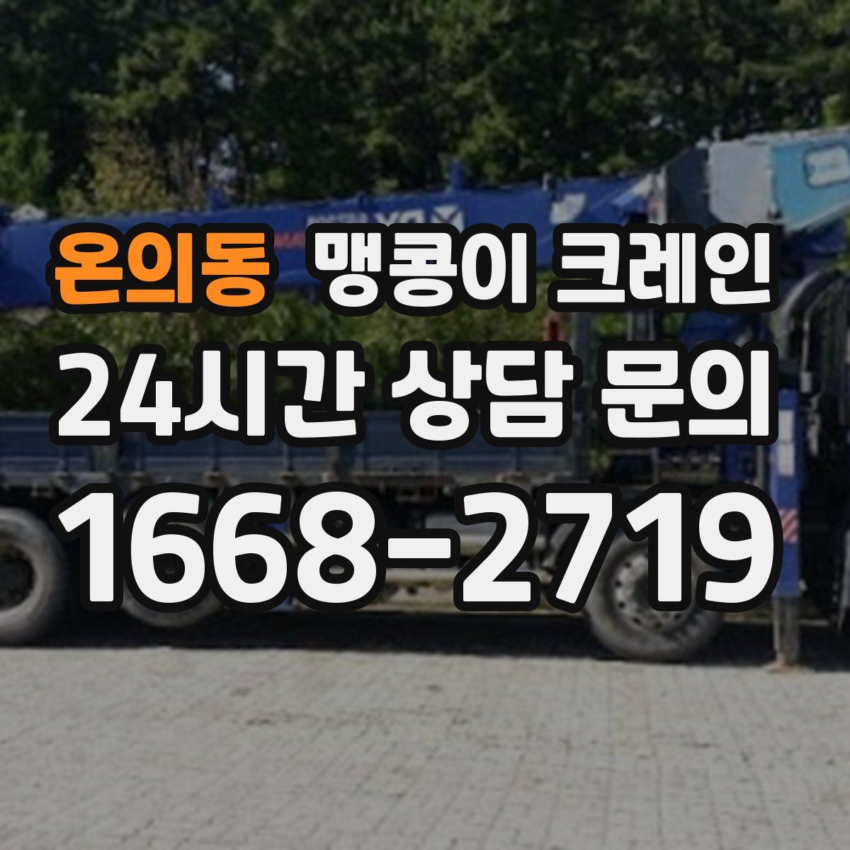온의동 맹콩이 크레인