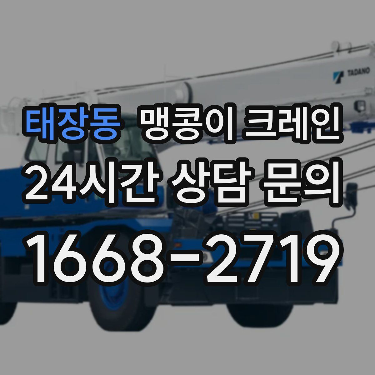 태장동 맹콩이 크레인