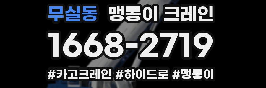 무실동 맹콩이 크레인